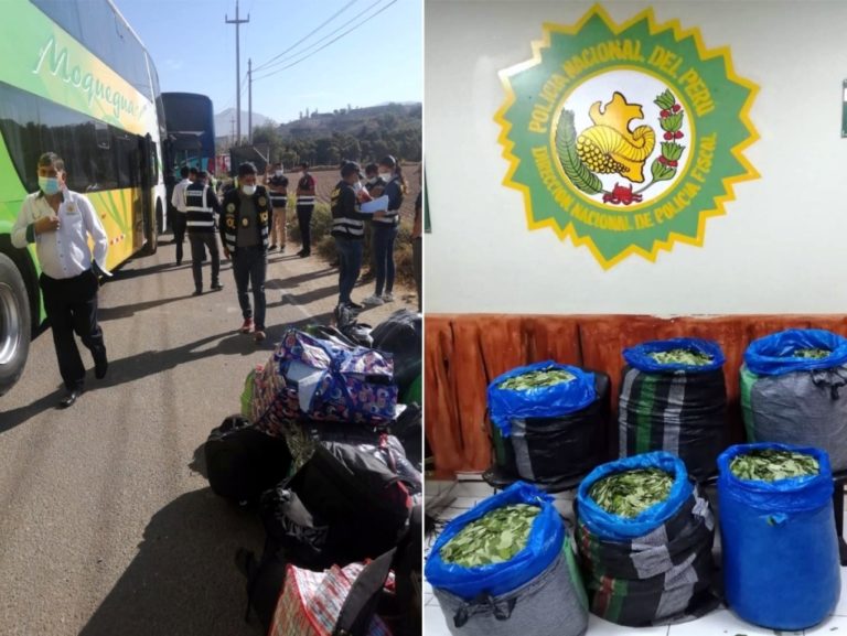 Decomisan sacos de hoja de coca y mercadería de contrabando en Samegua