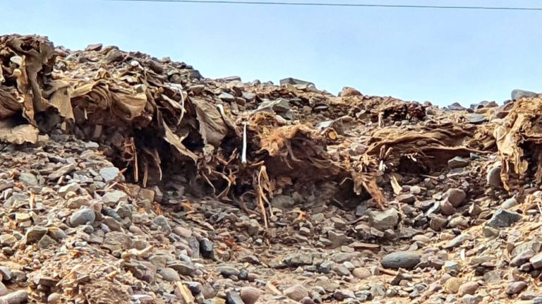 Encuentran restos óseos humanos junto a pista San Gerónimo – El Algarrobal