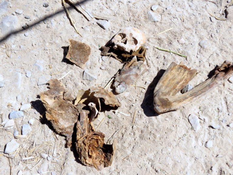 Destruyen restos arqueológicos en cerro Alto Calaluna