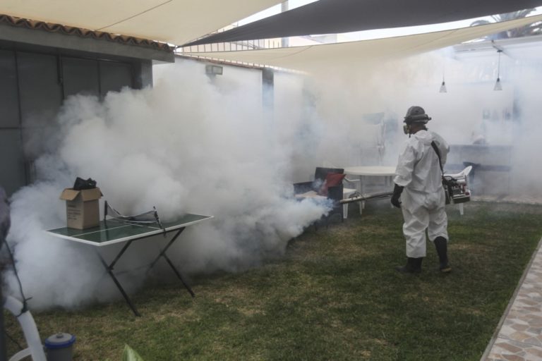 Caravelí: Fumigan casas contra presencia del mosquito transmisor del dengue