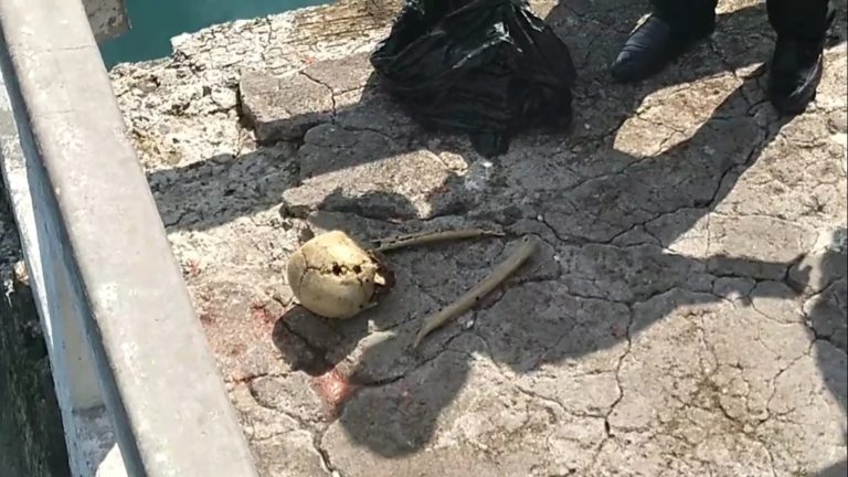 Hallan otro cráneo en el fondo marino del muelle turístico de Mollendo