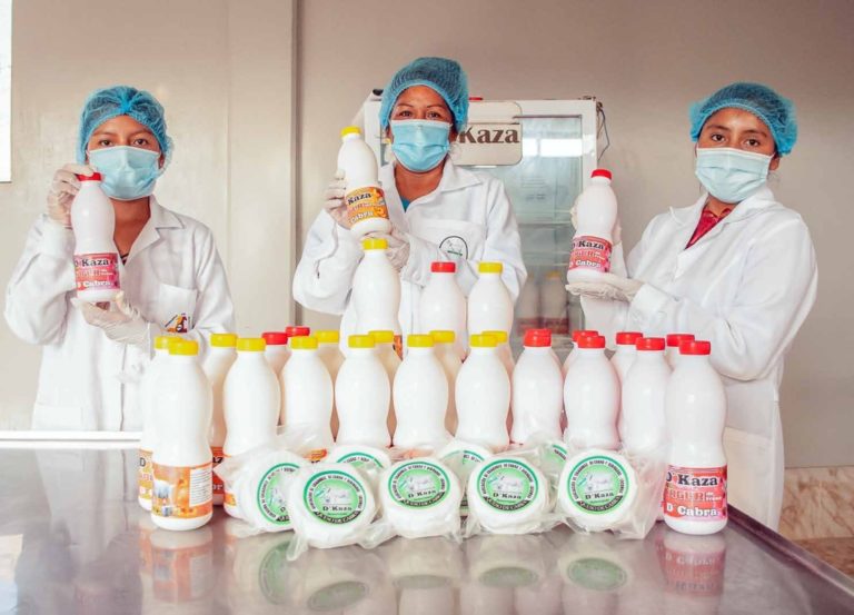 Southern Perú impulsa cadena productiva de leche de cabra en Locumba