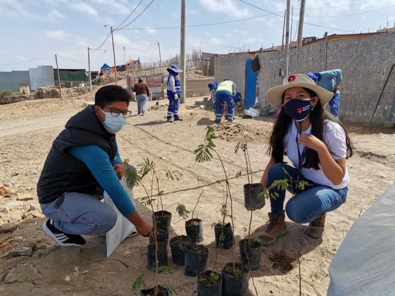 Mollendo: Plantan 150 arbolitos en Mirador al Pacífico