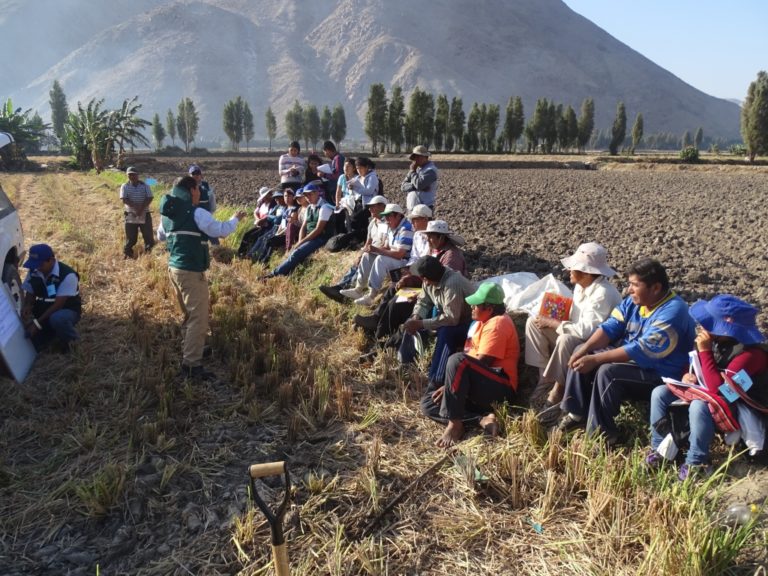 Deán Valdivia: El jueves 12 habrá escuela para agricultores