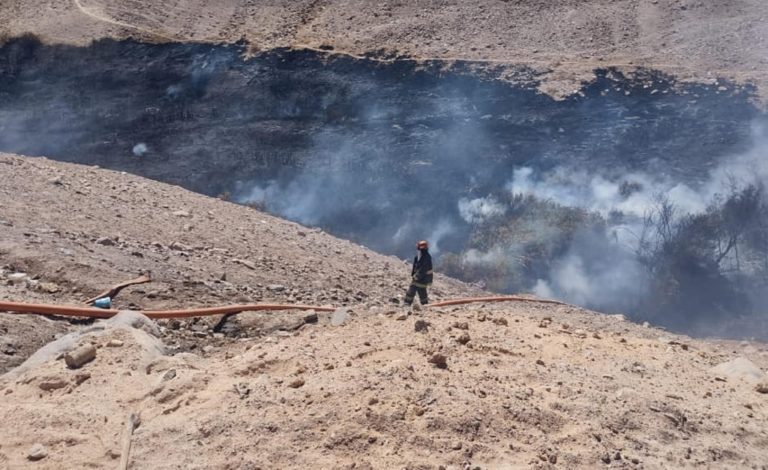 Fuerte incendio forestal se registró en el valle de Moquegua