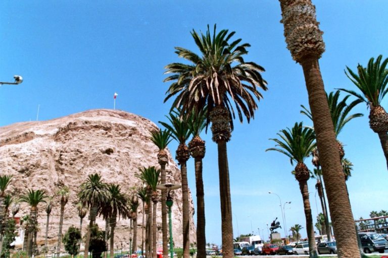 Recuerdos de Arica