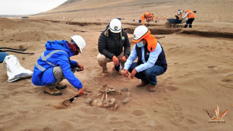 Recuperan 50,000 especímenes arqueológicos en Lomas de Ilo