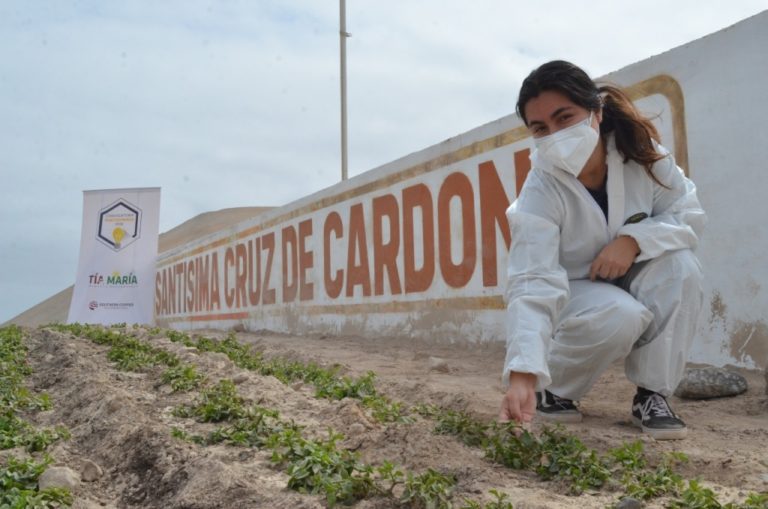 Tía María impulsa reforestación en nuevo mirador de Punta de Bombón