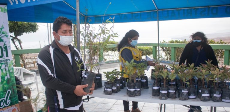 Matarani: municipio entregó plantones frutales, gratuitos