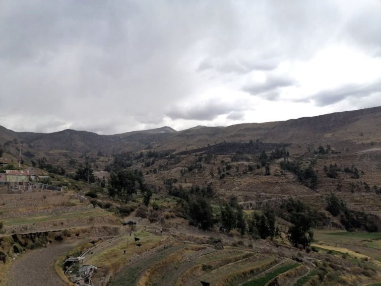 Bajas temperaturas, nevada y lluvia se presentan en zona altoandina de Moquegua