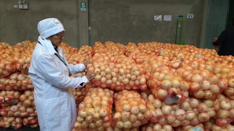 Arequipa: Ajo y cebolla fuertemente afectados por suba del dólar