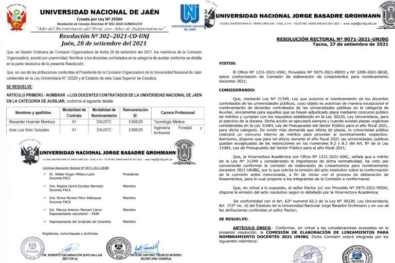 Universidades públicas respaldan el derecho fundamental al empleo de docentes ganadores de concurso público