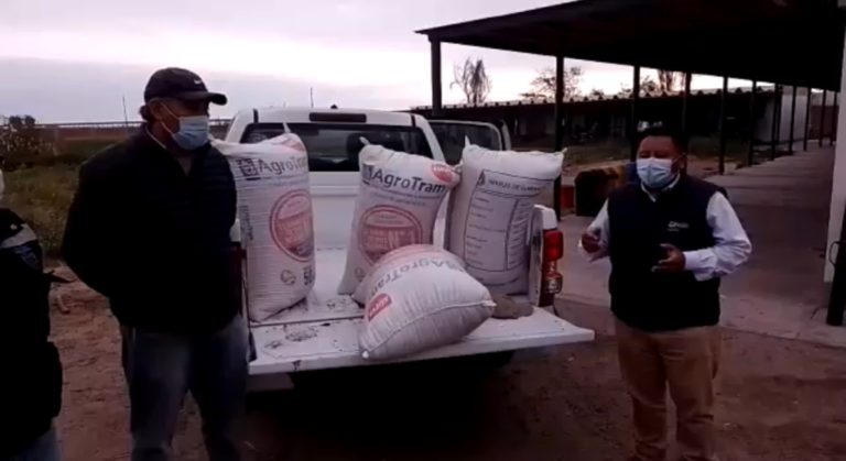 Deán Valdivia: Laboratorio Entomológico La Curva recibió de Agrorural una dotación de 400 kg de trigo