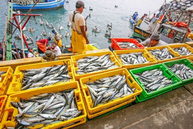 El presupuesto del 2022 y los pescadores