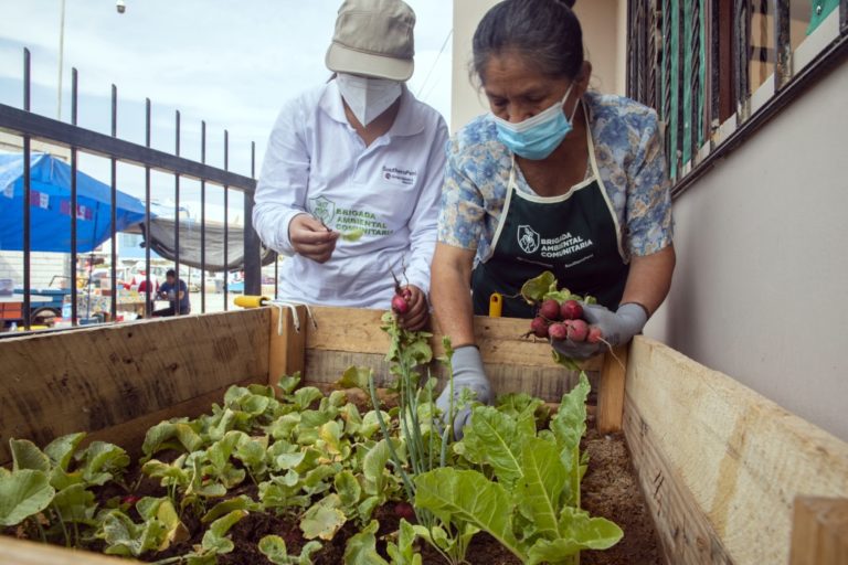 Southern Perú culmina capacitación en técnicas agrarias y biohuertos en Ilo