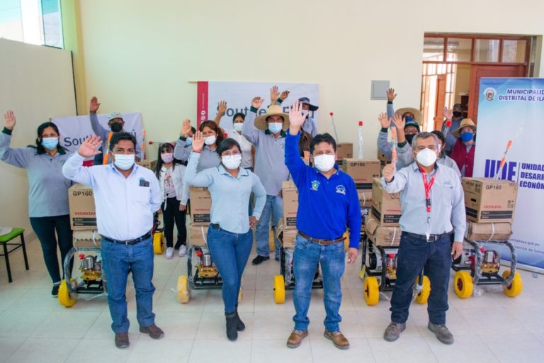 Southern Perú fortalece producción de palta en Ilabaya