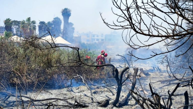 Incendio forestal fue controlado a tiempo en el valle de Ilo
