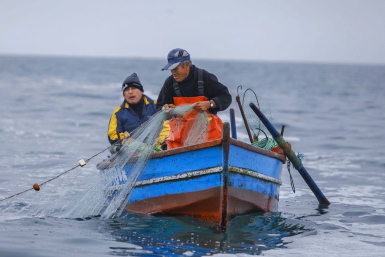 Produce difunde proyecto de reglas del Seguro Obligatorio del Pescador Artesanal (SOPA)