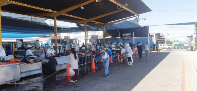 Arequipa: demanda de consumo de mariscos bajó un 70%
