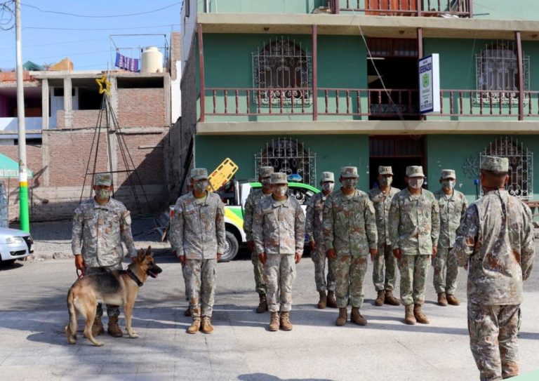 Cocachacra: unidad canina de PNP se suma a la búsqueda de Ibar Surco