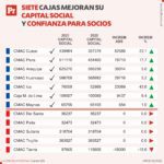 Gráficos – Informe Cajas 2020-2021 – 21022022 (3)