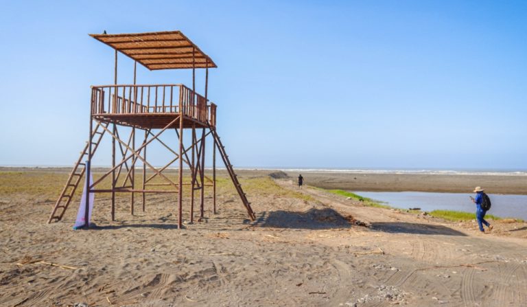 Punta de Bombón: Instalan mirador de aves en Catas