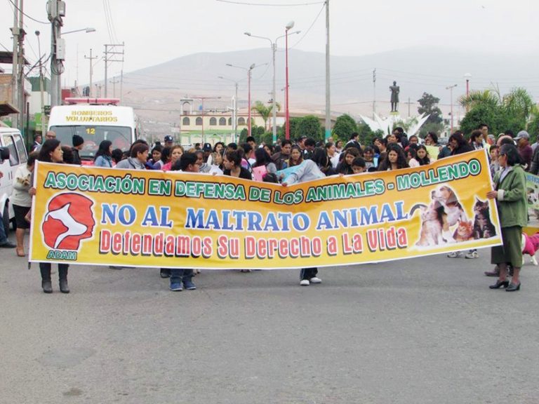 Promueven marcha contra el maltrato animal en Mollendo