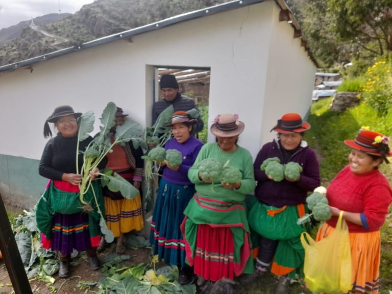 Mujeres al frente de biohuertos mejoran la alimentación en Ichuña