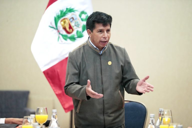 Pedro Castillo pide asistir este martes 15 de marzo al Congreso