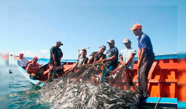 Matarani: Denuncian que pesca ilegal genera depredación del recurso marino