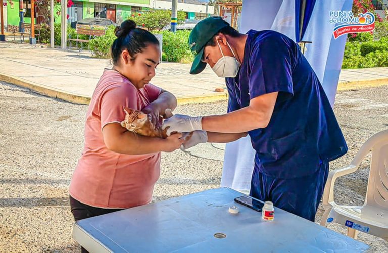 Realizaron más de 180 esterilizaciones caninas y felinas en Punta de Bombón