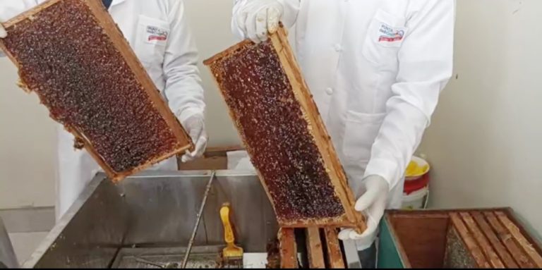 Punta de Bombón: apicultores tendrán un puesto en el mercado El Crucero