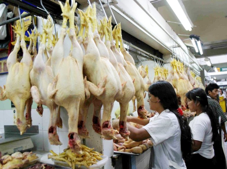 Exoneración del IGV no bajará precios del pollo ni del huevo, según la APA