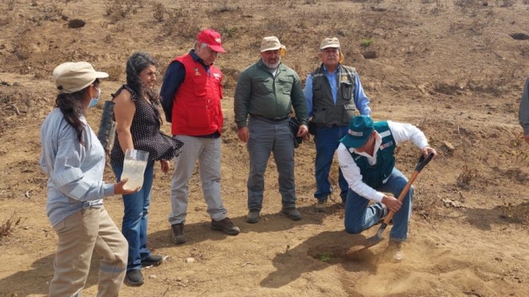 Arequipa: realizan lanzamiento de la Zonificación Forestal