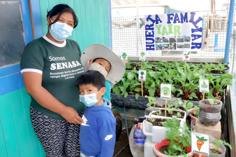 Southern Perú fomenta valores de vida con programa de biohuertos familiares