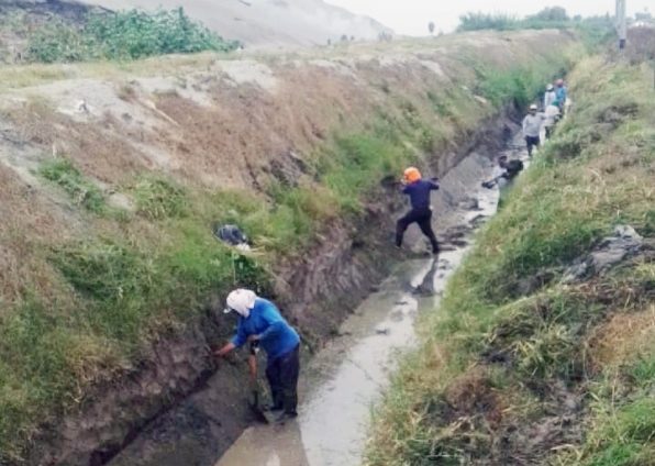 Junta de Usuarios del Valle de Tambo inició la limpieza de los drenes del sector El Toro