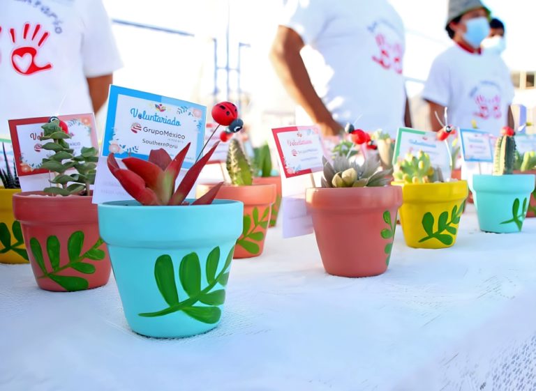 Voluntariado juvenil de Southern Perú realizó campaña «Yo cuido mi planeta»