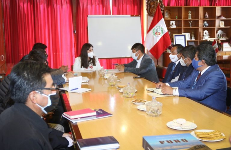 Gobernadores de Arequipa y Puno promueven importación de gas boliviano