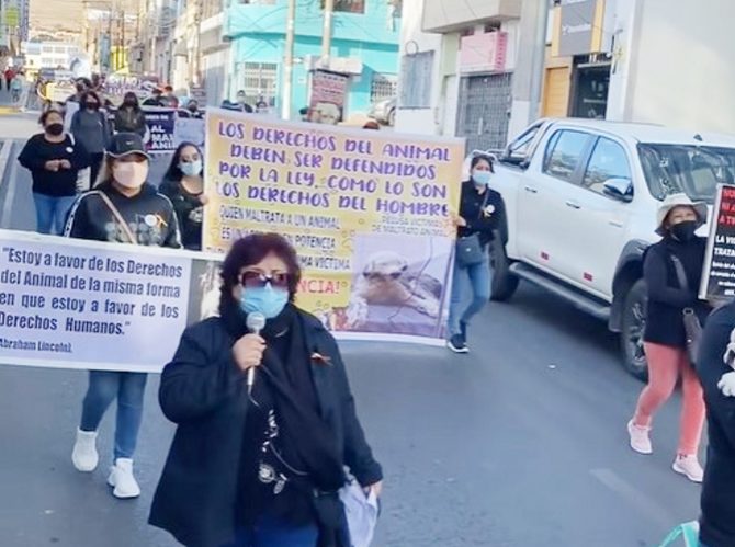 Realizan marcha de sensibilización denominada “No al maltrato animal”