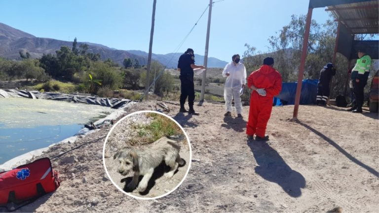 Menor de 13 años cae a pozo de agua en Mollesaja y muere ahogado