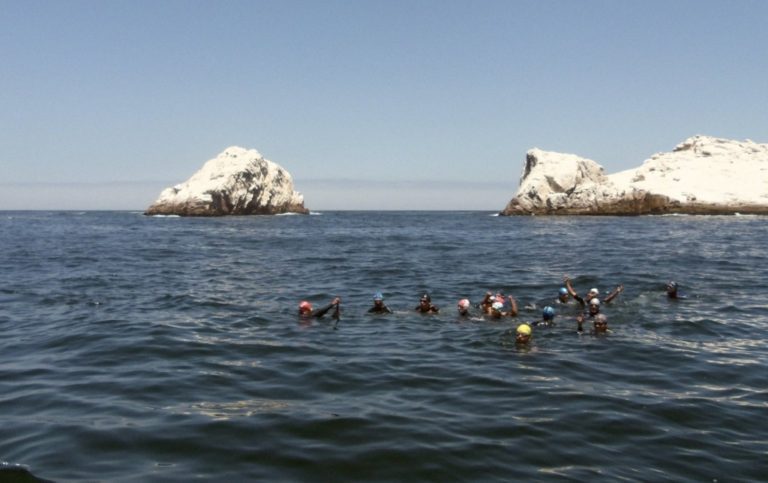 Nadadores mollendinos participarán en certamen de natación en aguas abiertas en el norte