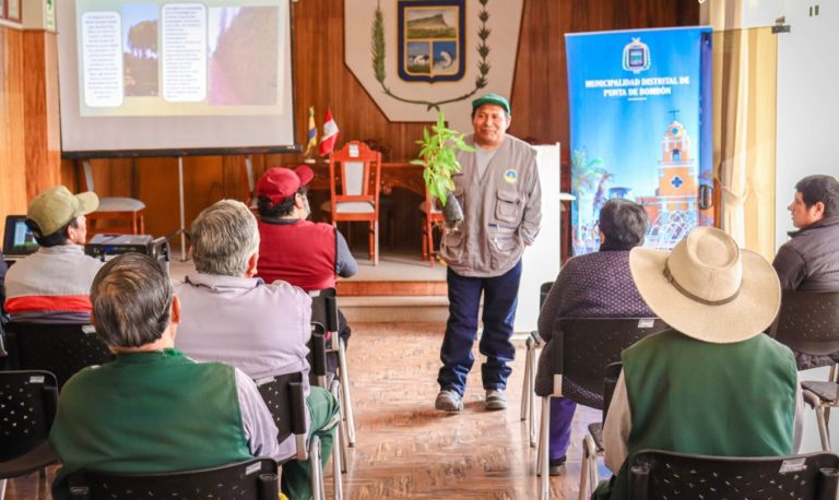 Punta de Bombón: capacitan a personal de áreas verdes sobre el manejo de plantas