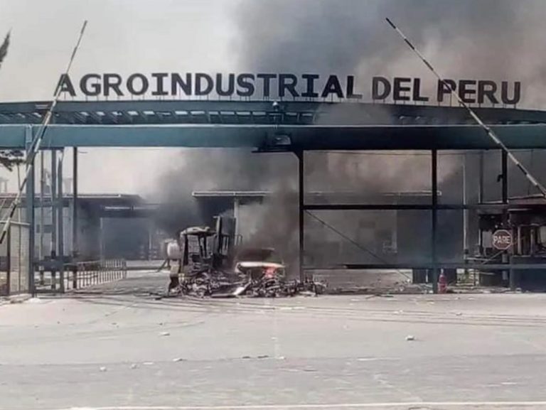 Productores agrarios exigen a presidenta Boluarte inmediata acción sobre grupos violentistas