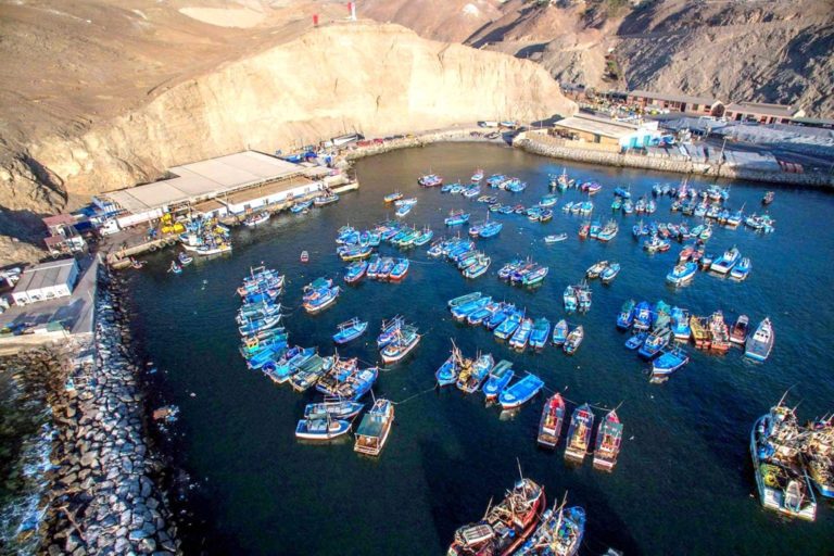 Edgar Jiménez sobre Ocean Sea Food: “Si la empresa no mejora condiciones en el muelle, que lo cierren”