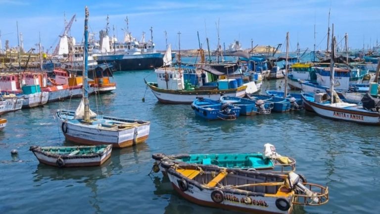 Fondepes otorgará crédito excepcional de S/ 5 millones a pescadores artesanales