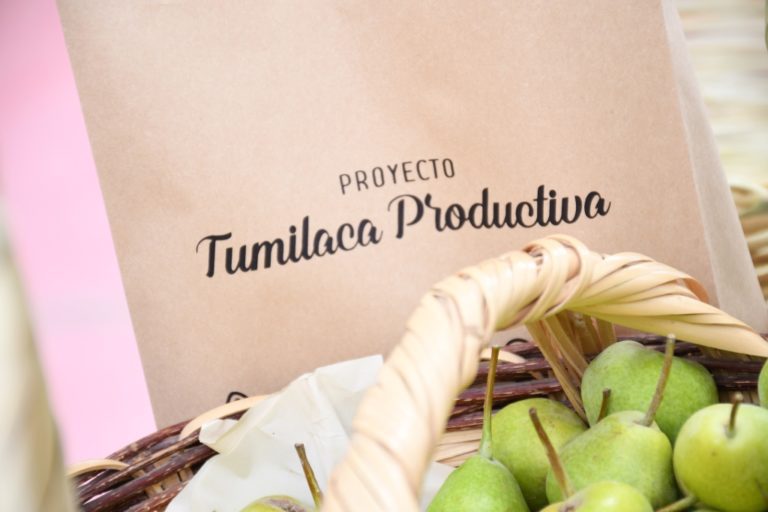 Agricultores de Tumilaca cultivaron 120 hectáreas de frutos y hortalizas libres de químicos