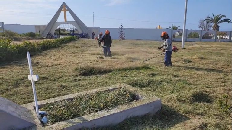 Mejía: personal de áreas verdes realiza mantenimiento al cementerio