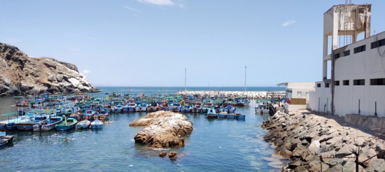 Pescadores exigen reunión con Rohel Sánchez para construcción de desembarcadero