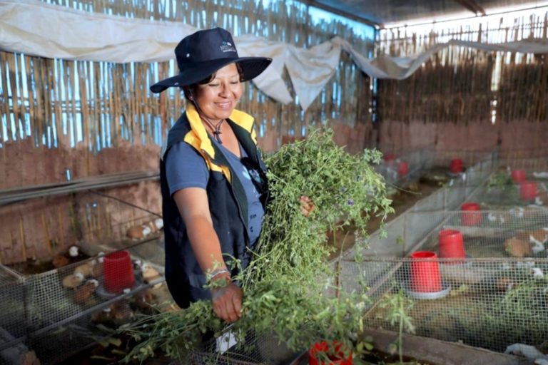 Southern Perú impulsa el liderazgo de la mujer a través de programas enfocados en empleabilidad y desarrollo económico