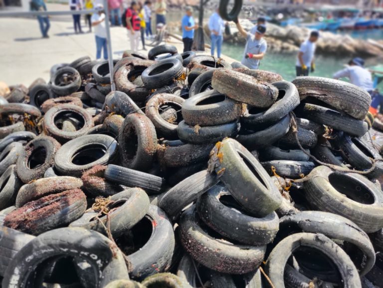 Recolectan 4 toneladas de residuos del fondo marino en el muelle El Faro